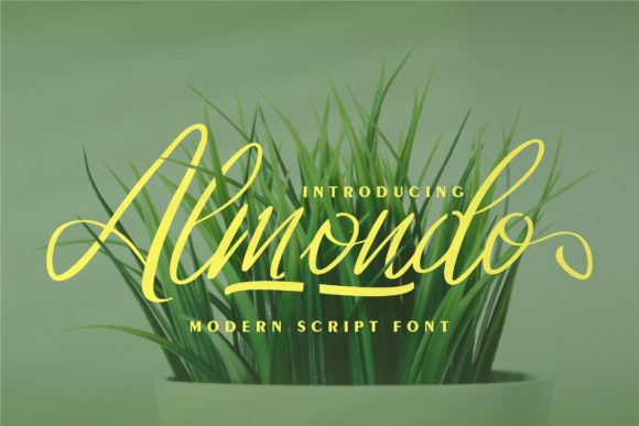 Almondo: A Modern Script Font for Editorial Elegance