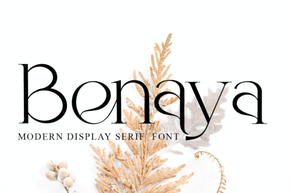 Benaya: A Modern Serif Font for Editorial Elegance
