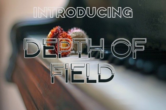 Bringing Depth of Field to Life in Handmade Creations