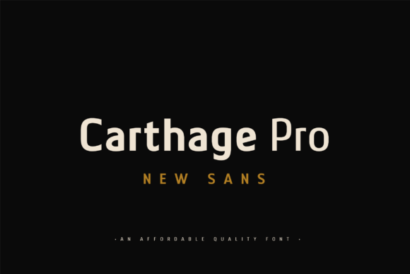 CARTHAGE PRO for Modern Web Design