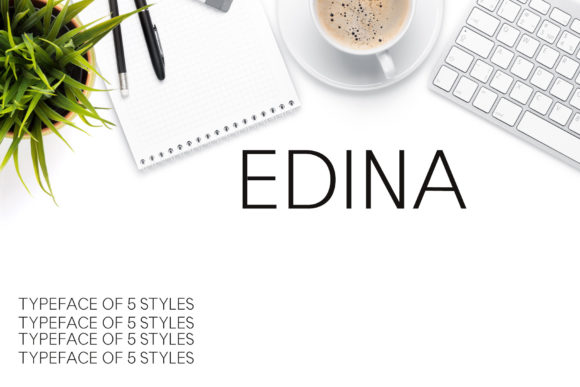 Edina: A Modern Sans Serif Font for Digital Projects