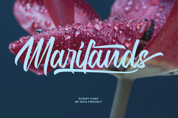 Marilands: A Modern Handwritten Font for Digital Branding