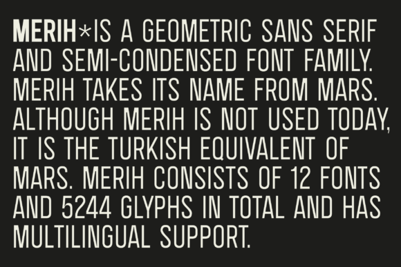 SK Merih: A Modern Sans Serif Font for Small Business Branding